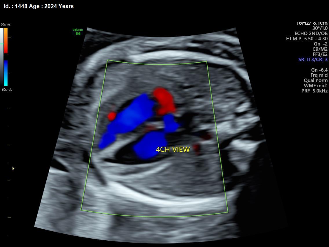 WhatsApp Image 2025-02-24 at 4.48.20 PM