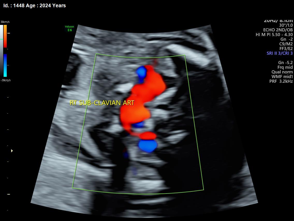 WhatsApp Image 2025-02-24 at 4.48.21 PM (1)