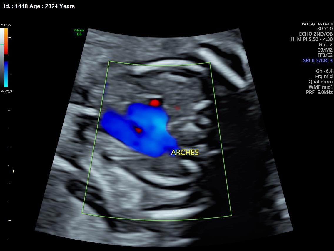 WhatsApp Image 2025-02-24 at 4.48.21 PM