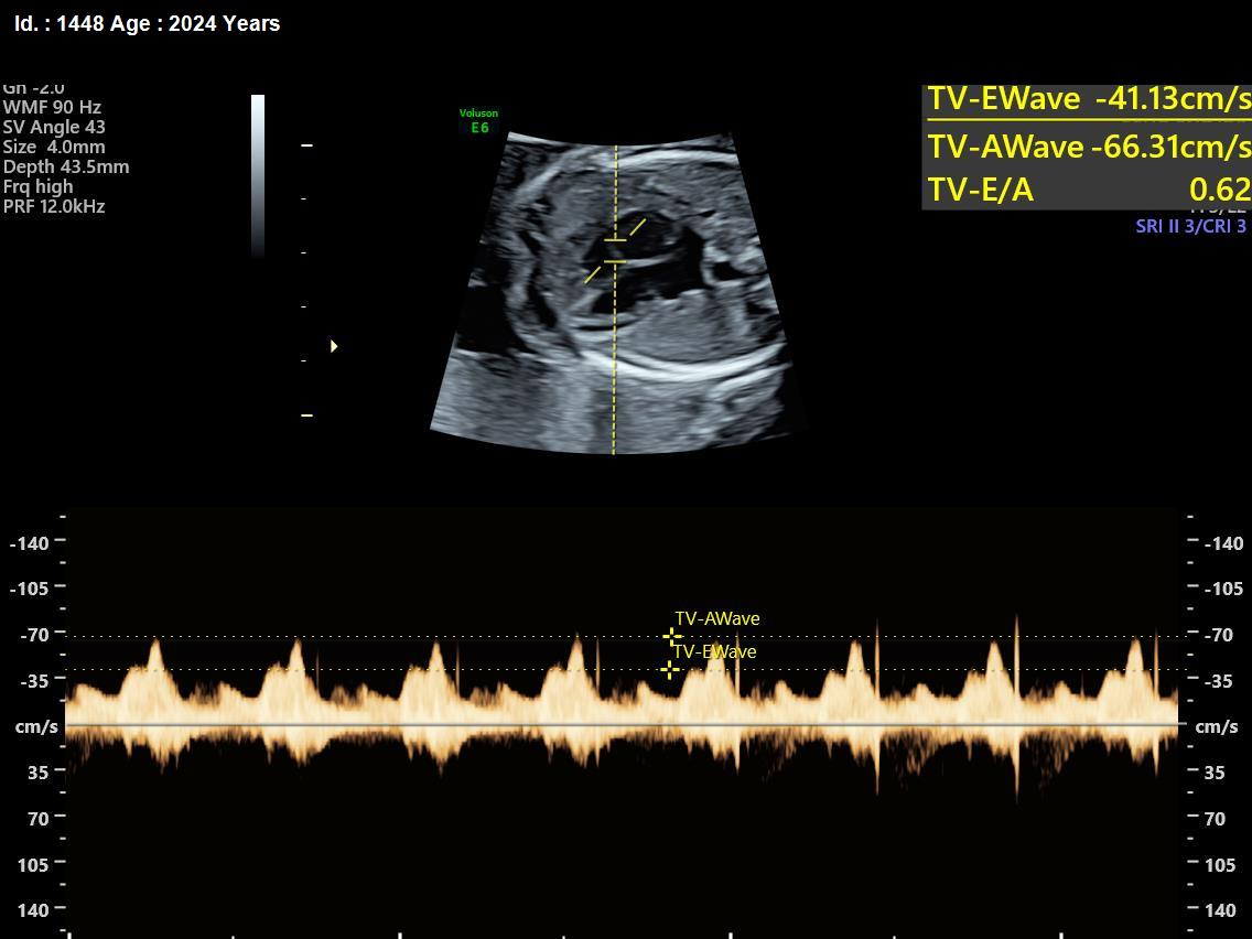 WhatsApp Image 2025-02-24 at 4.48.22 PM (1)