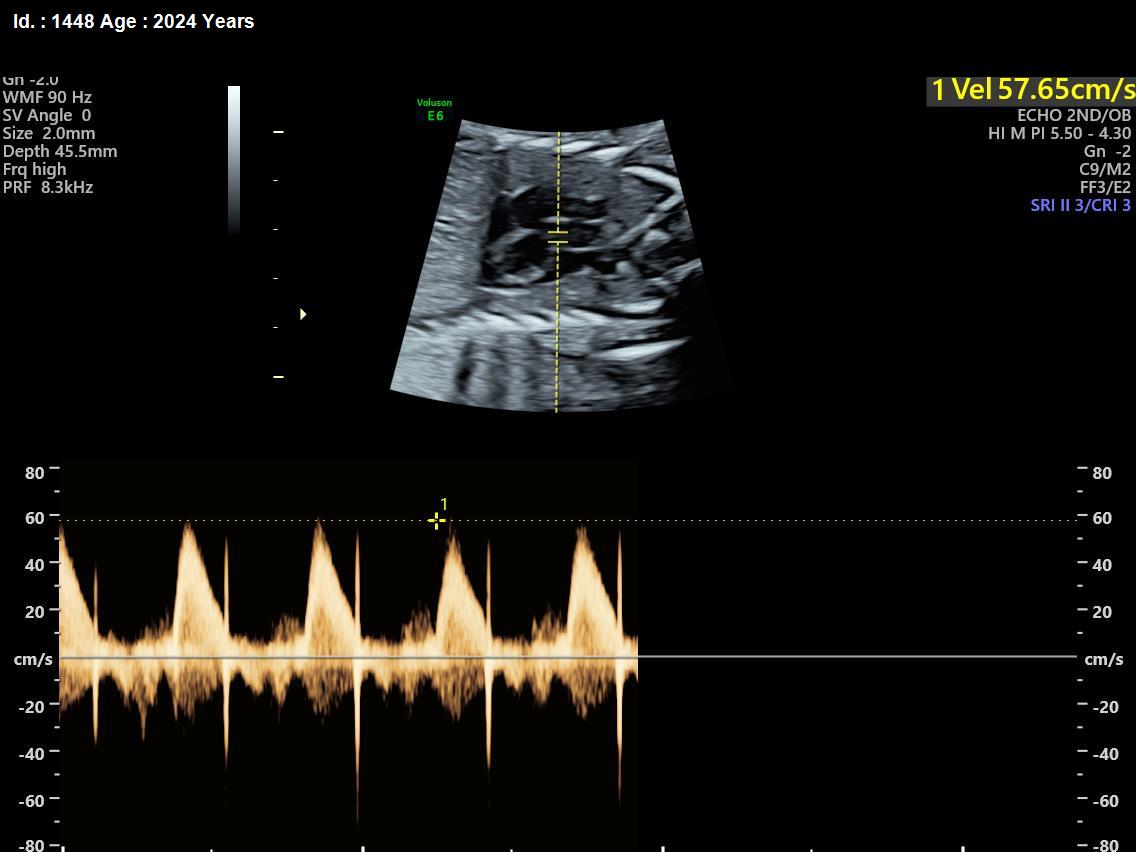 WhatsApp Image 2025-02-24 at 4.48.22 PM (2)