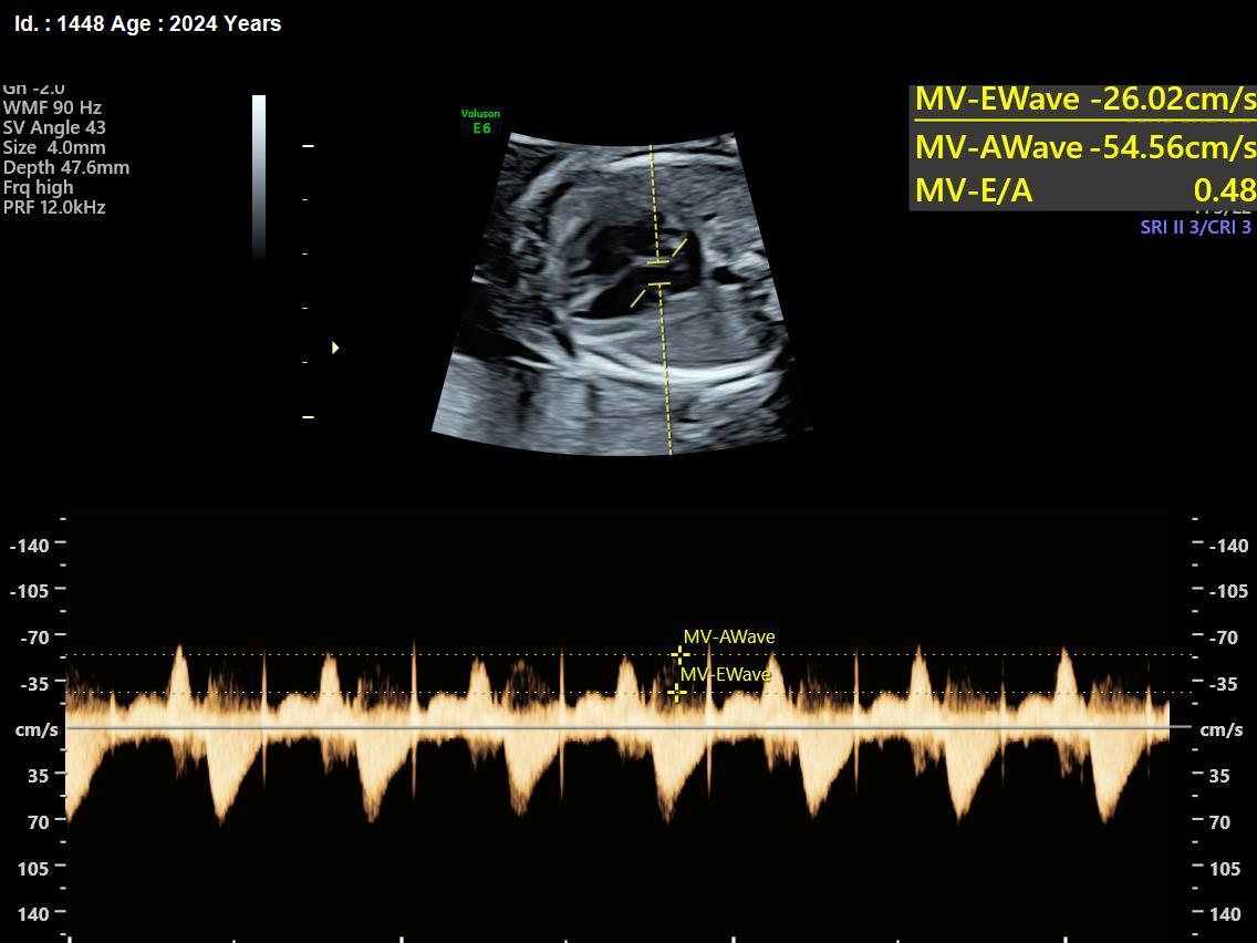 WhatsApp Image 2025-02-24 at 4.48.22 PM