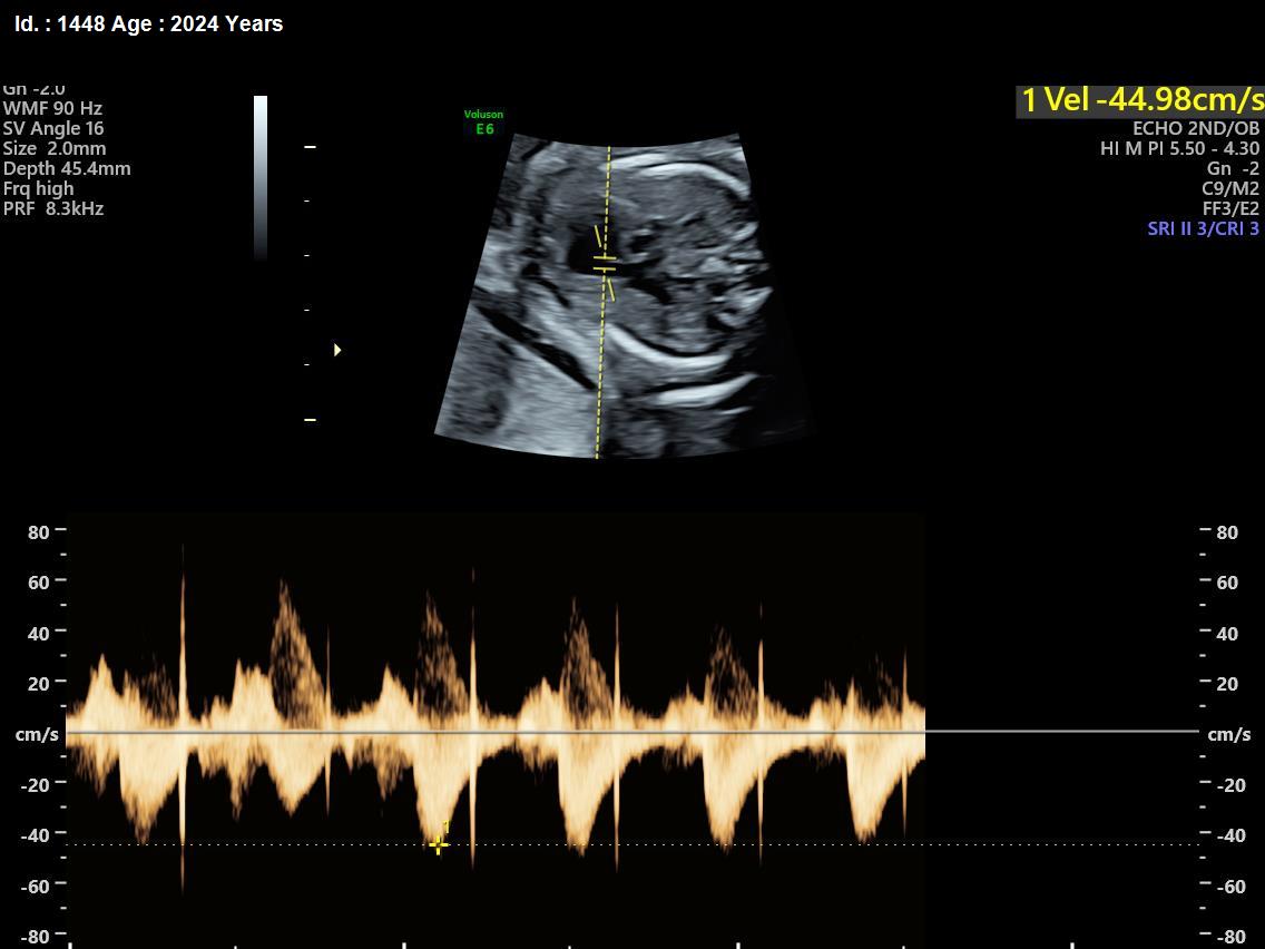 WhatsApp Image 2025-02-24 at 4.48.23 PM