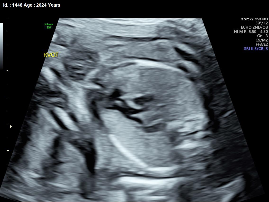 WhatsApp Image 2025-02-24 at 4.48.24 PM (1)