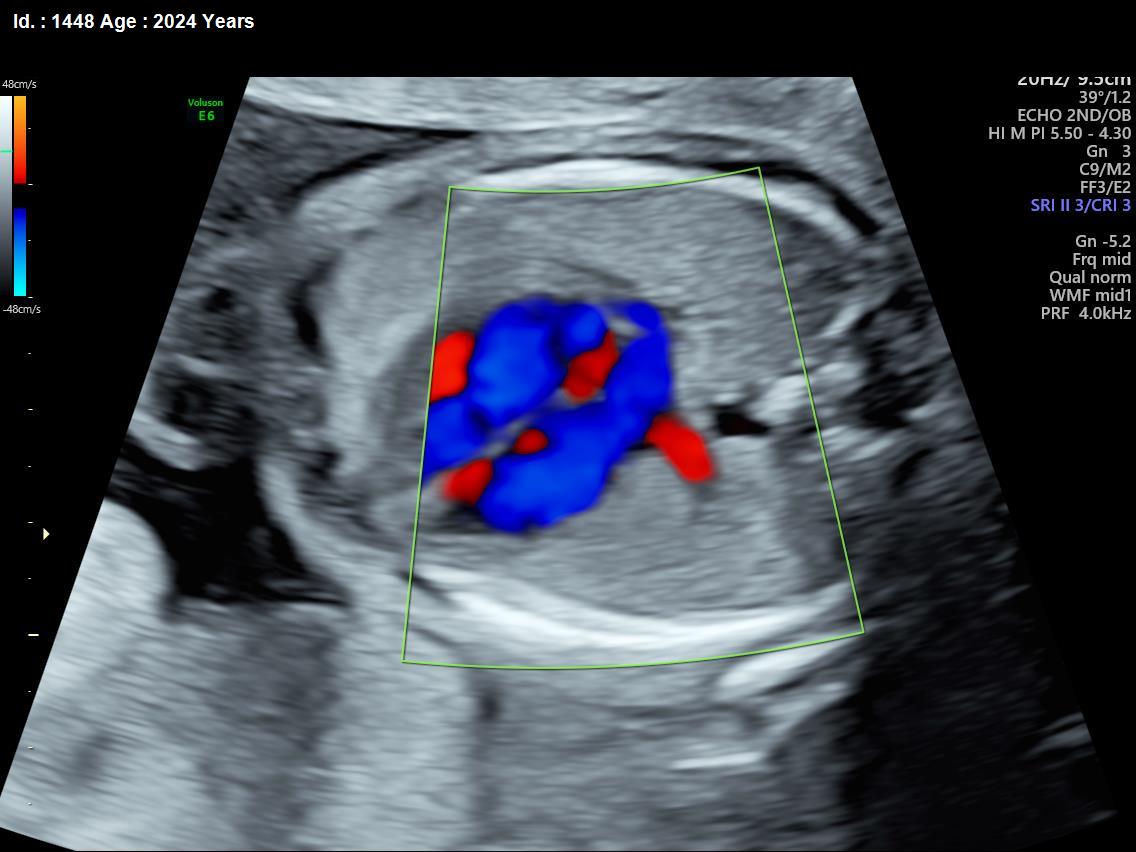 WhatsApp Image 2025-02-24 at 4.48.24 PM